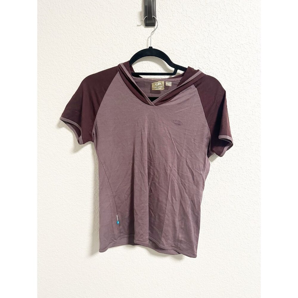 Icebreaker Superfine Merino Wool 190 Hooded Shirt Raglan Sleeve Purple Small